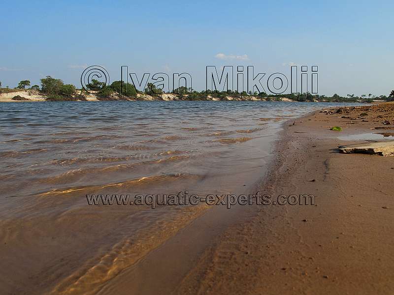 rios del estado apure venezuela